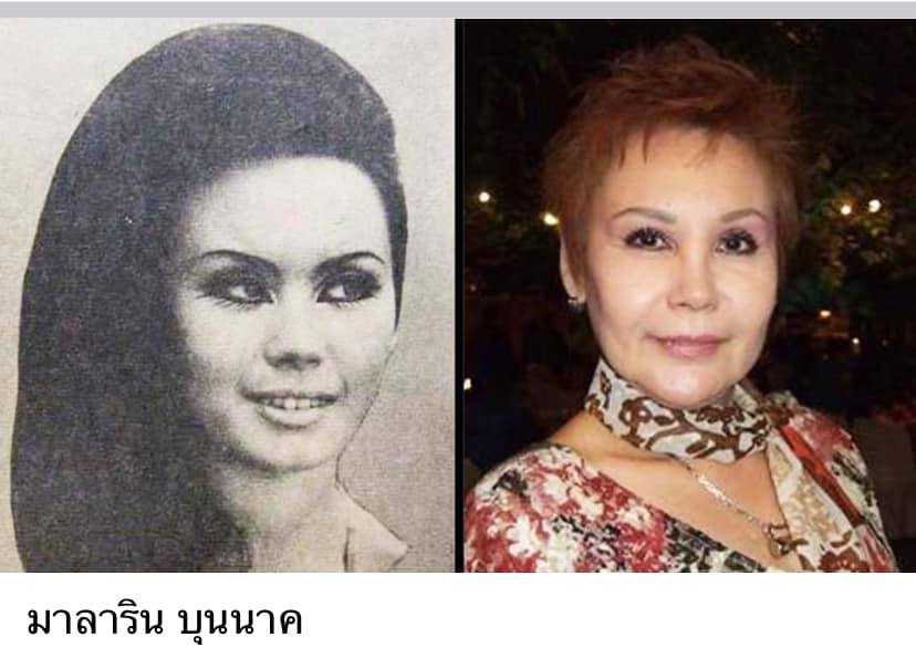 ดาวค้างฟ้าของเมืองไทย