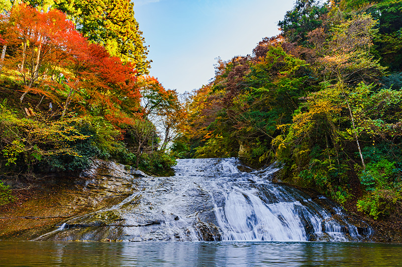 หุบเขาโยโรเคโคะคุ ที่เที่ยวชิบะ ญี่ปุ่น