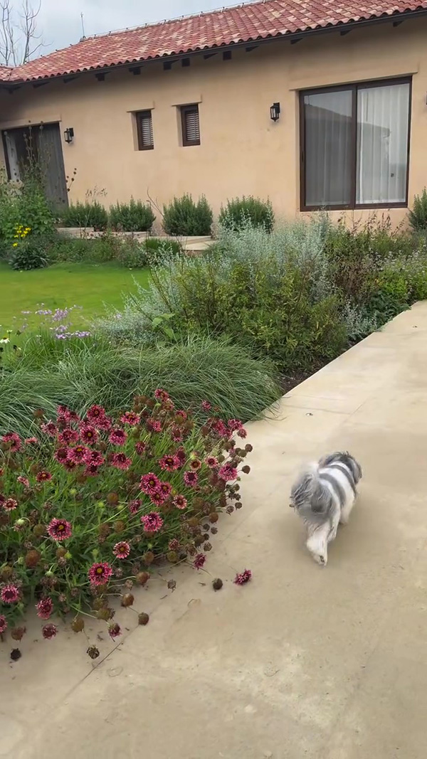 ญาญ่า อุรัสยา