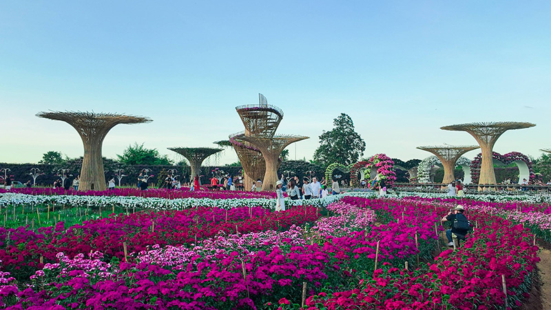 สวนเมเปิ้ล กาญจนบุรี 2568