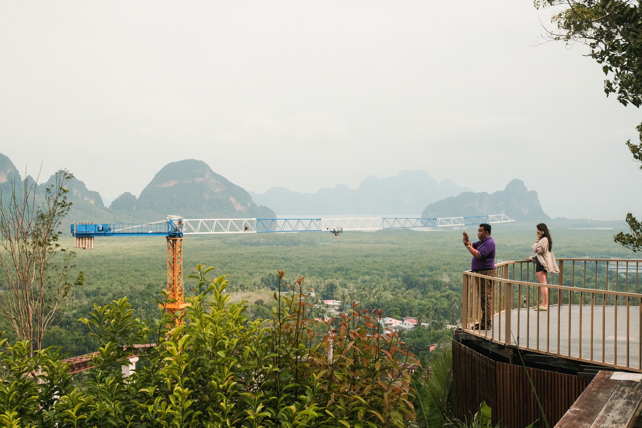 เสม็ดนางชี