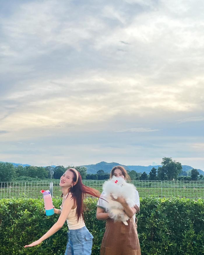 ใบเฟิร์น พิมพ์ชนก