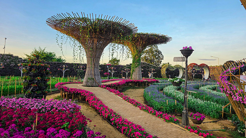 สวนเมเปิ้ล กาญจนบุรี 2568