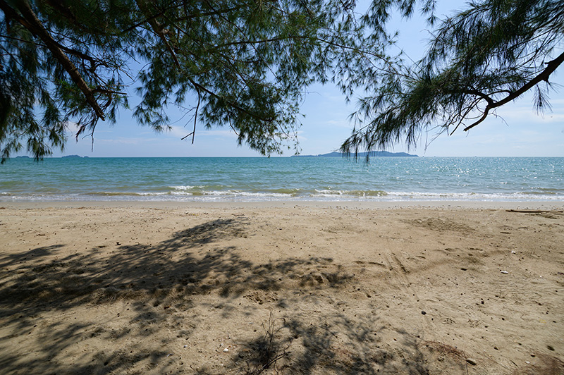 เที่ยวทะเลไม่ข้ามเกาะ สวนสน