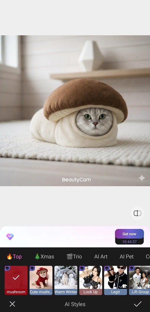 วิธีทำรูปแมวใส่ชุดเห็ด