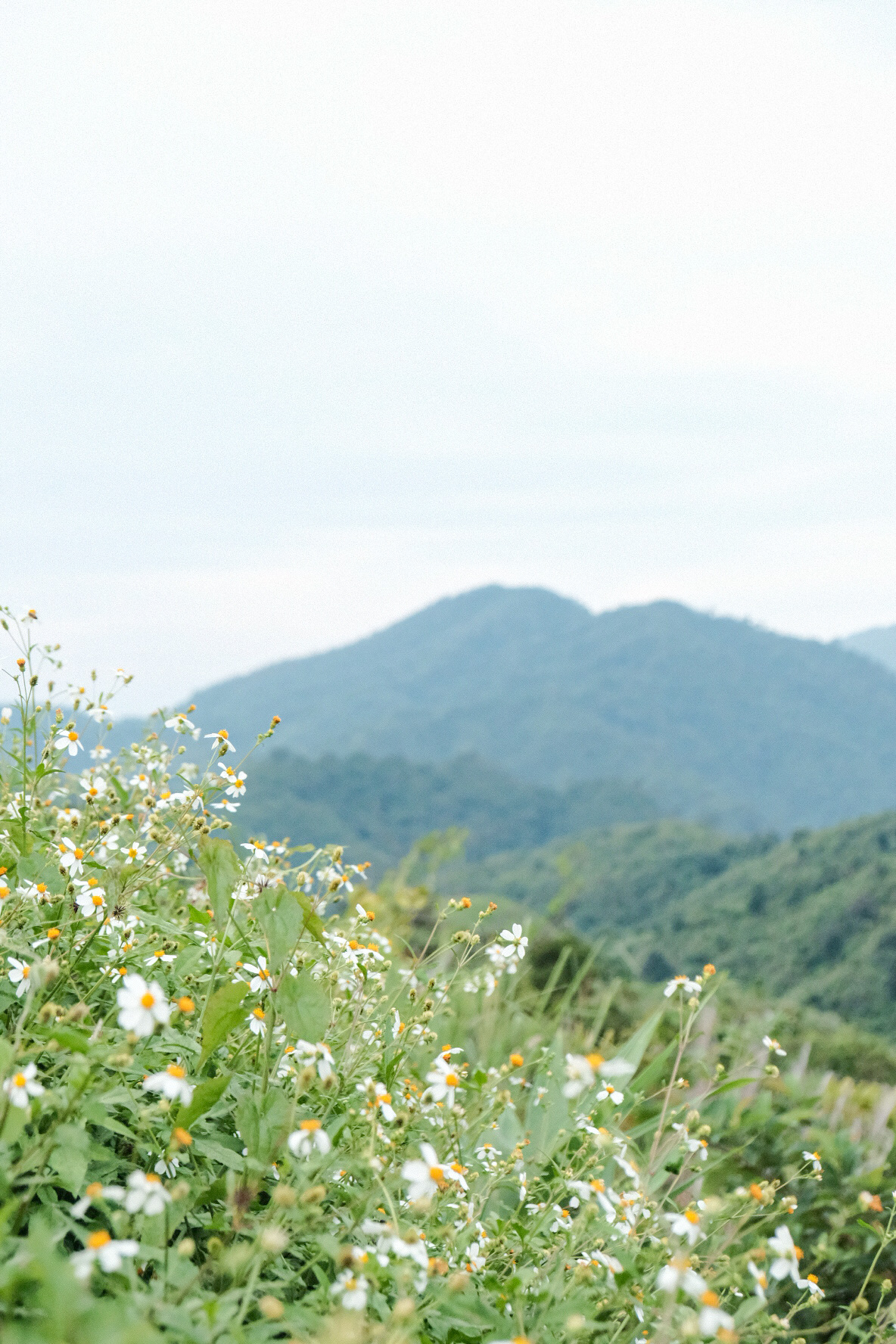 ถนนโค้งหมายเลข 3