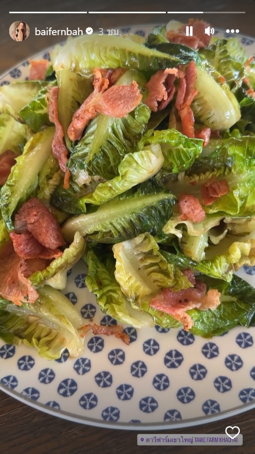 ใบเฟิร์น พิมพ์ชนก 