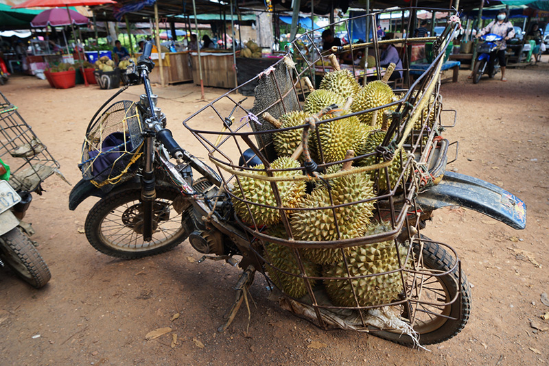 ตลาดผลไม้กลางดง