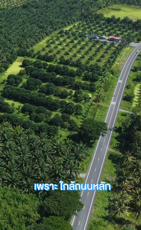 เจมส์ เรืองศักดิ์ ประกาศขายสวน