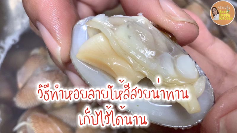 วิธีล้างหอยลาย