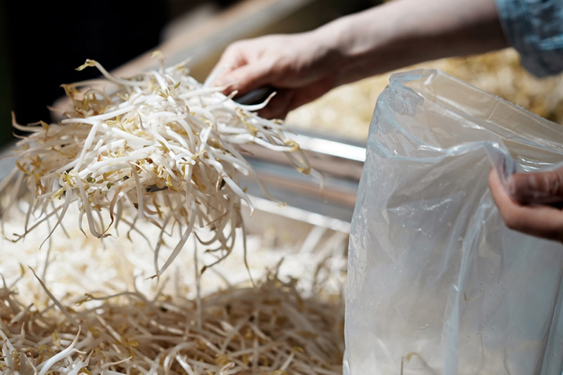 วิธีเก็บถั่วงอกให้สดนาน เรื่องอาหารน่ารู้อื่น ๆ