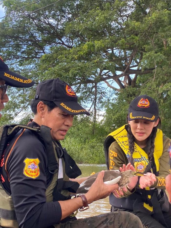 ทับทิม ไทด์