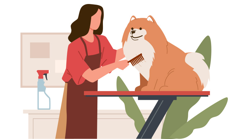 ร้านอาบน้ำตัดขนสัตว์เลี้ยง