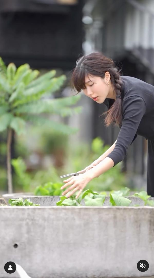 แก้ว จริญญา