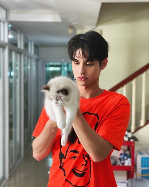 สัตว์เลี้ยง ไบร์ท วชิรวิชญ์ 
