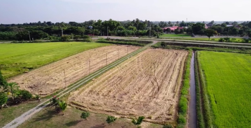 บ้านแดนนี่ ศรีภิญโญ