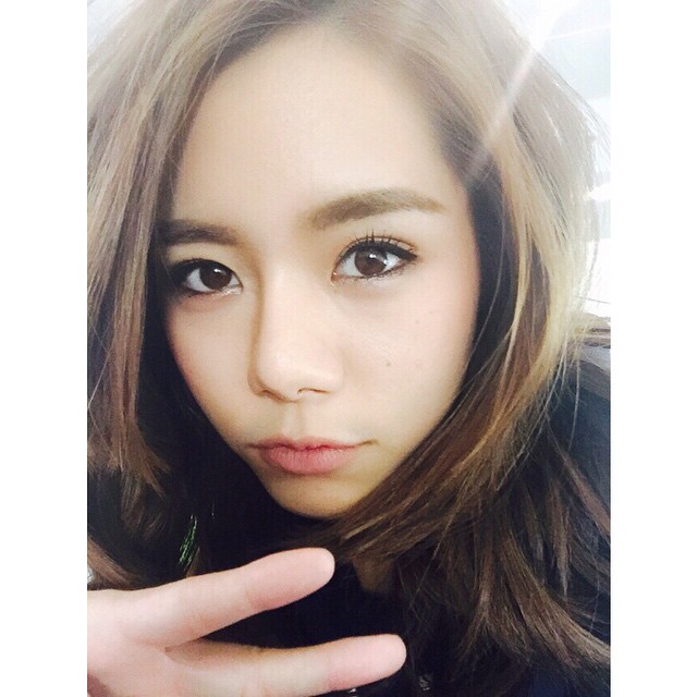 ใบเฟิร์น อัญชสา