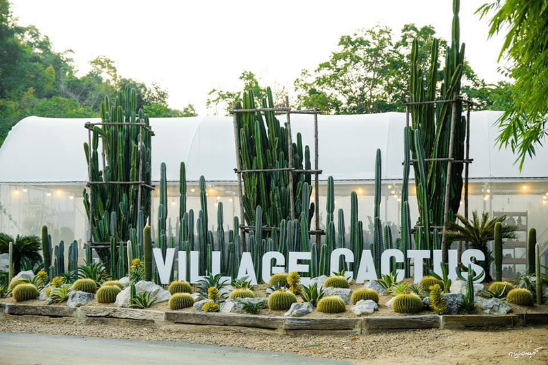 คาเฟ่โรงนา