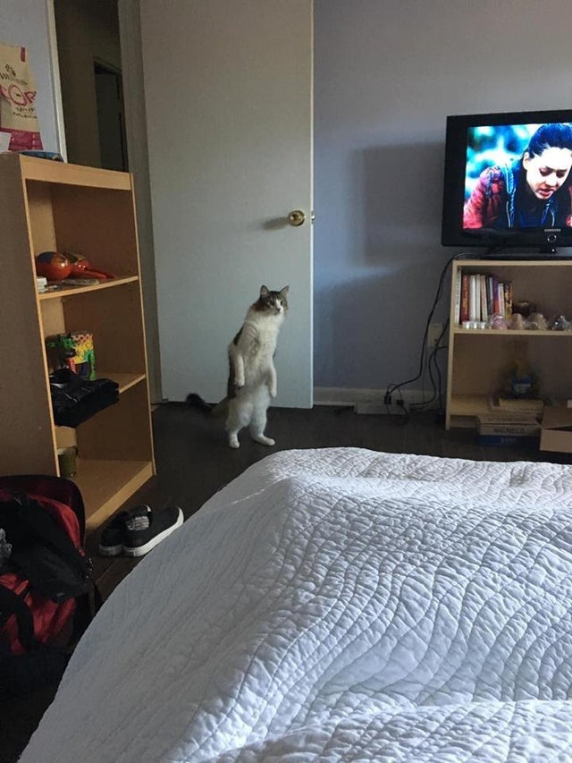 https://s359.kapook.com/pagebuilder/40143064-2fa5-4e2a-b082-04eca159d389.jpg