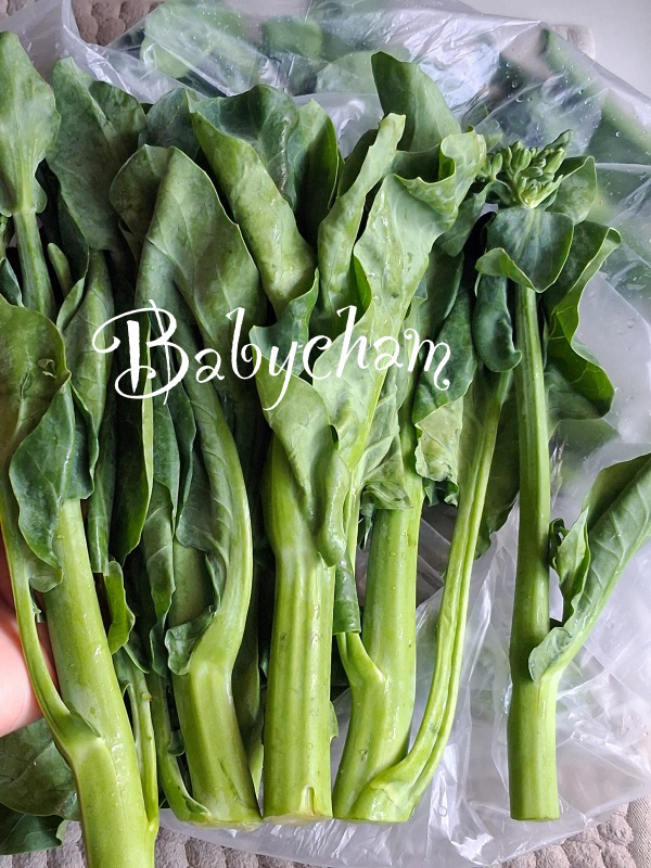 แผ่นแป้งเวียดนามผัดซีอิ๊ว เมนูเส้น ผัดซีอิ๊ว อาหารจานเดียว เมนูอาหารไทย