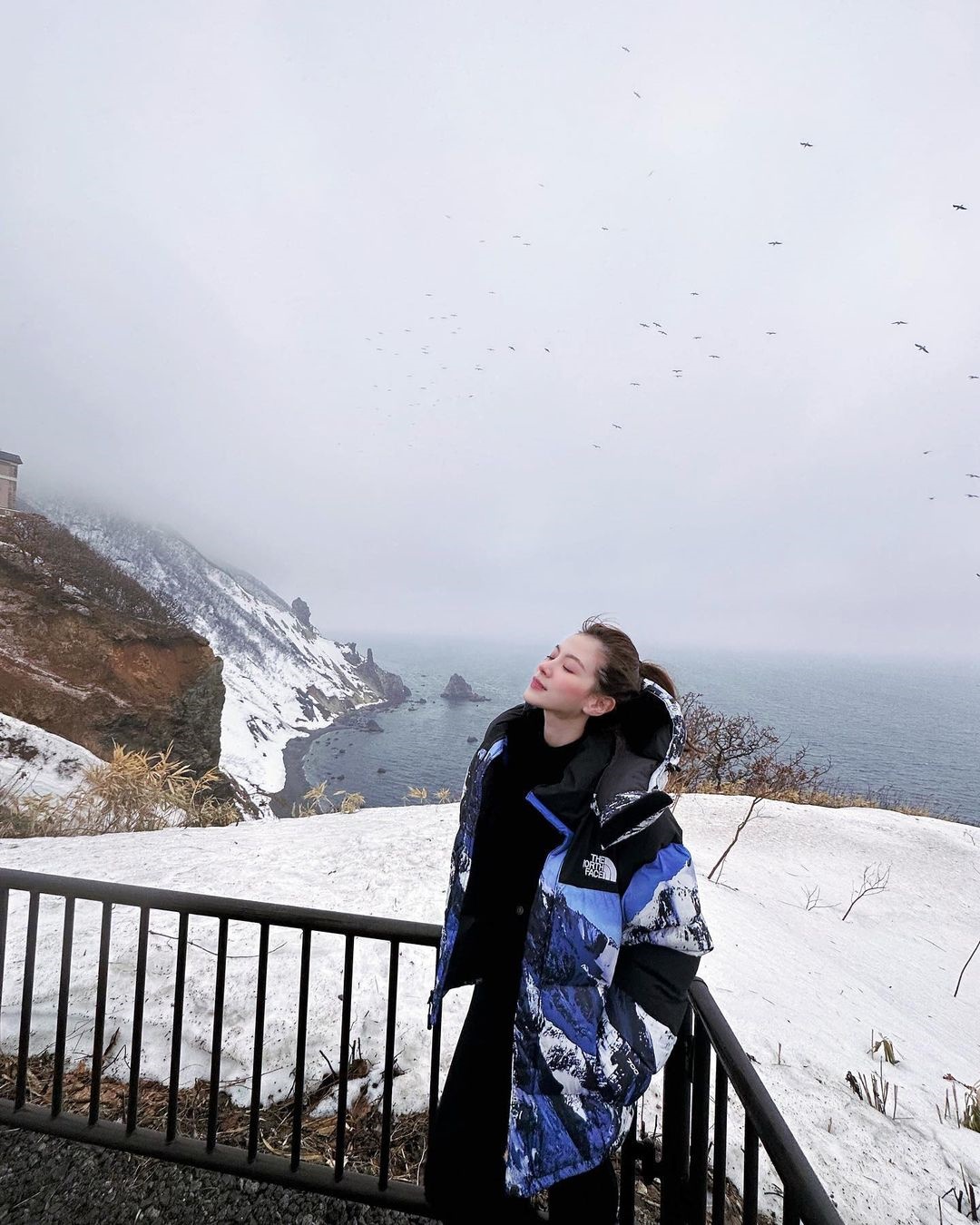 ใบเฟิร์น พิมพ์ชนก