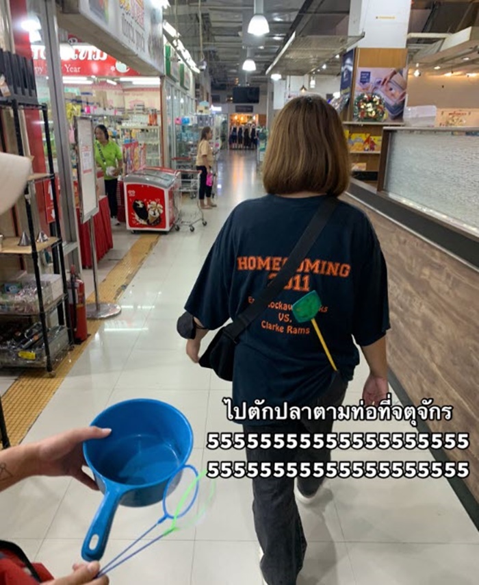 ปลาในท่อ