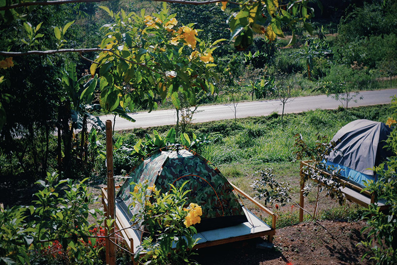 ลานกางเต็นท์อุทัยธานี