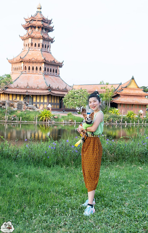 งานอยากวิ่งกับหมา  