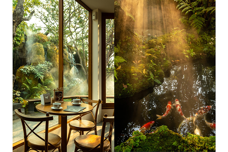 ร้านกาแฟเชียงใหม่ ธรรมชาติ