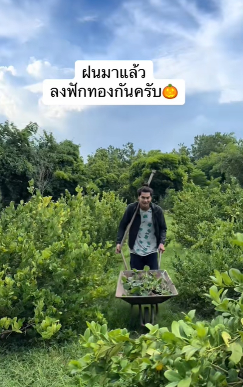 เพ็ชร ฐกฤต