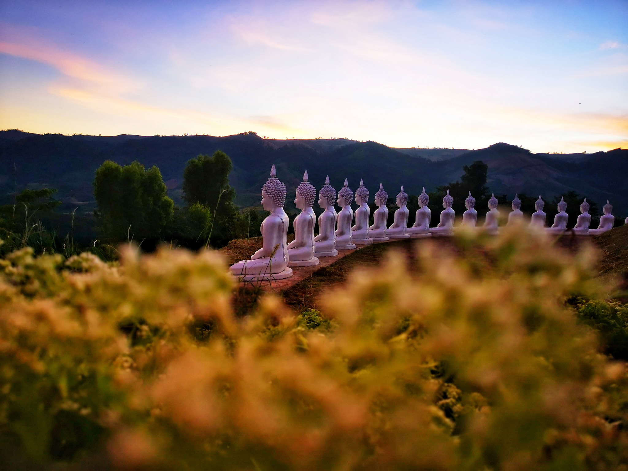 ภูพระ บ้านหมากแข้ง