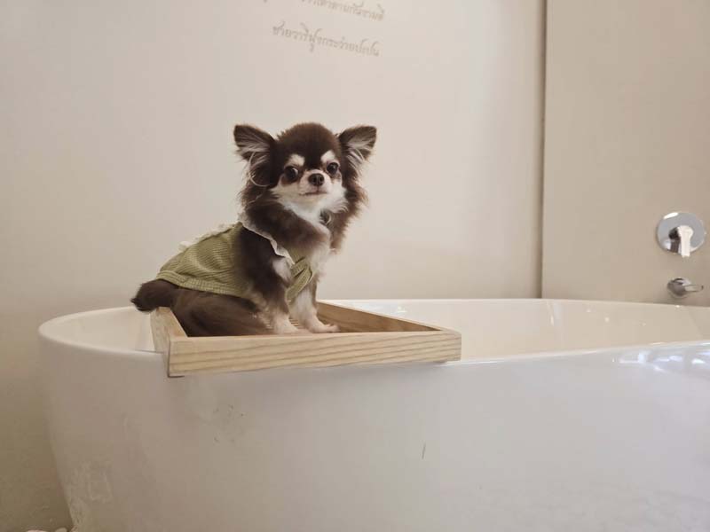 Mercure Rayong Lomtalay โรงแรมระยอง