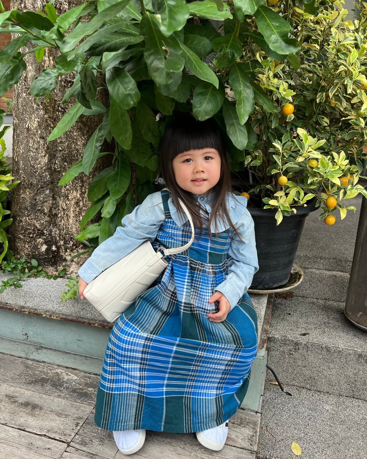 น้องแอบิเกล