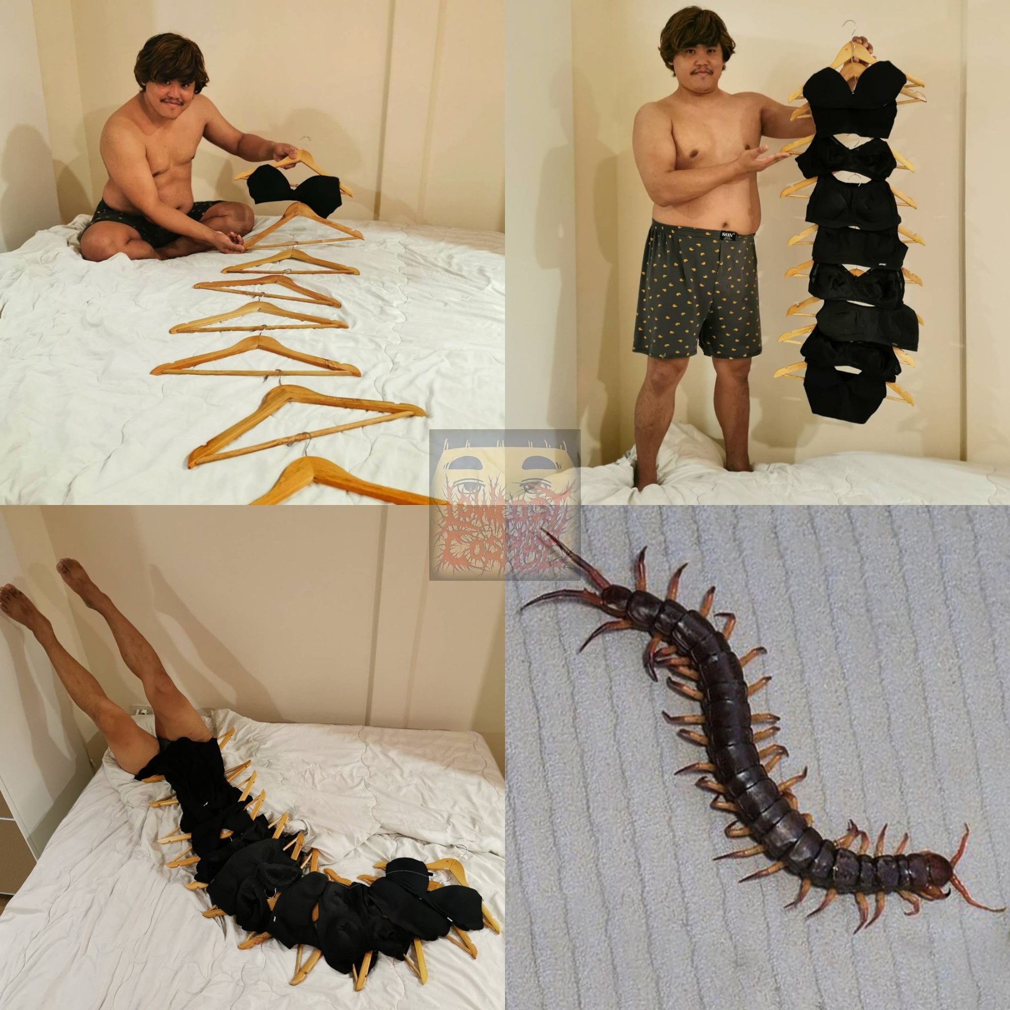 คอสเพลย์สัตว์โลกน่ารัก