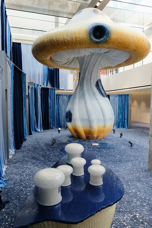 เที่ยวเกาหลี