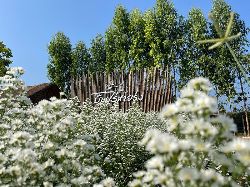 สวนดอกไม้