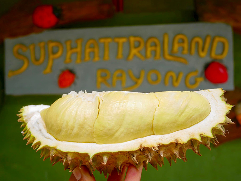 สวนผลไม้