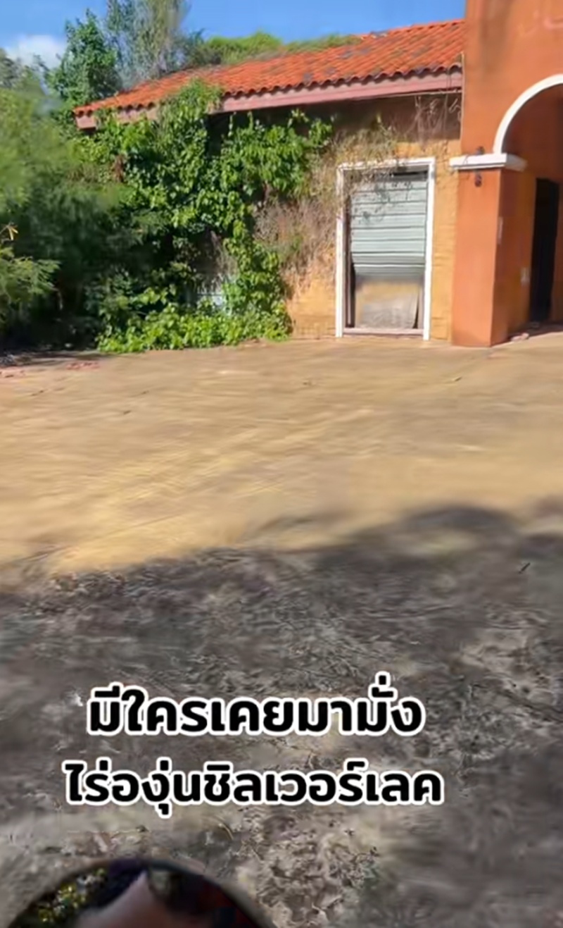 ไร่องุ่นซิลเวอร์เลค