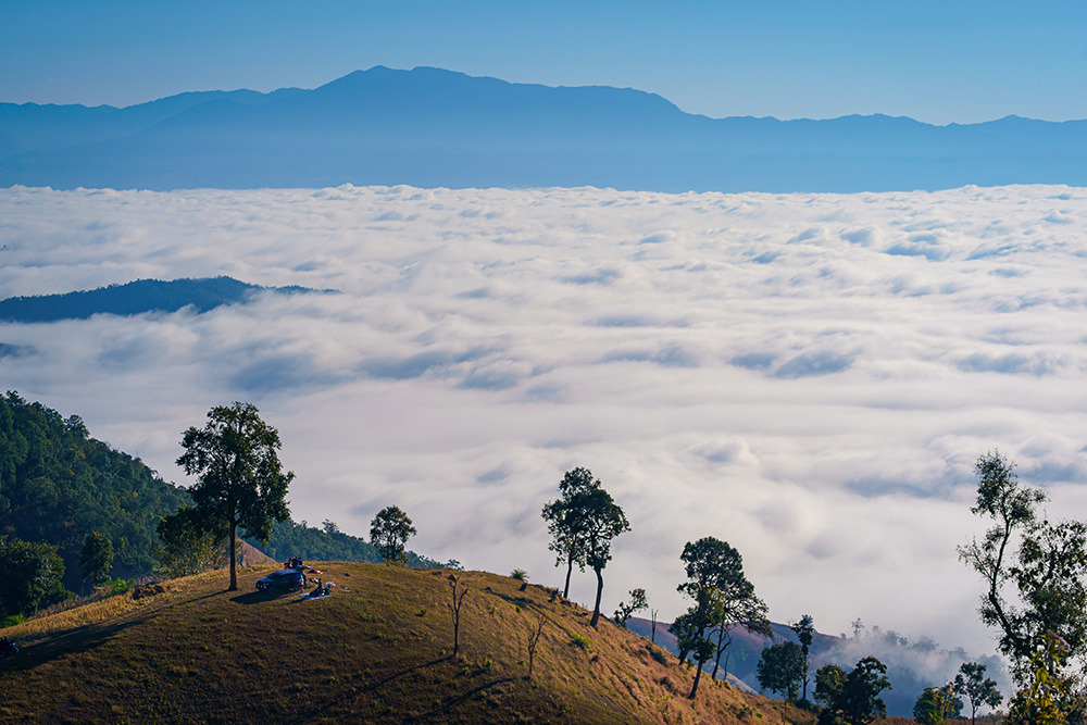 บ่าหลู่โข่