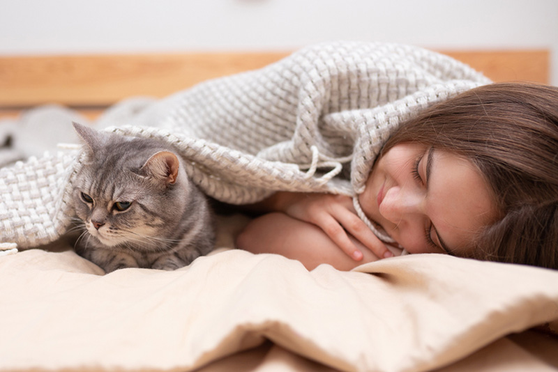 Cattrovert คือ