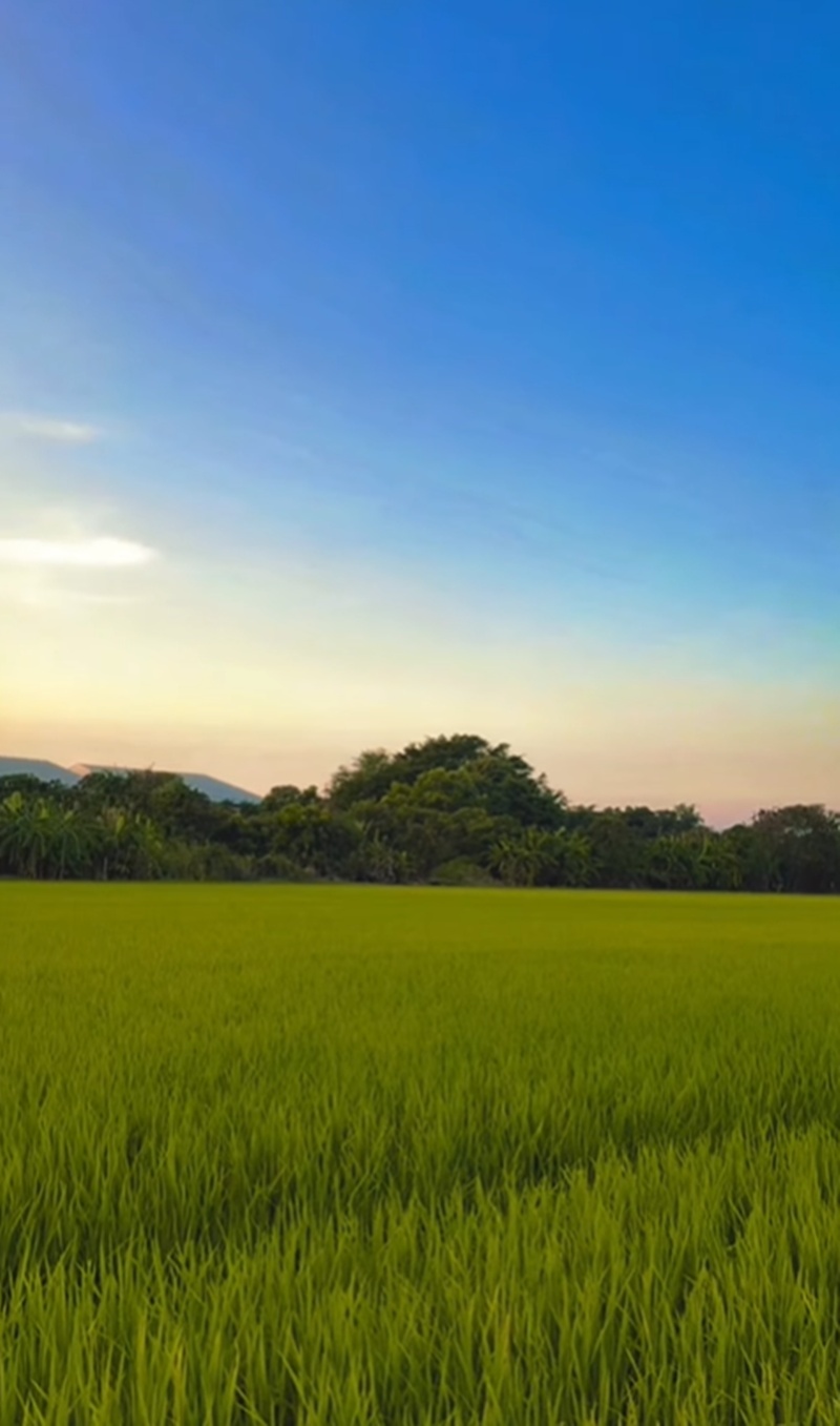 เอ ศุภชัย