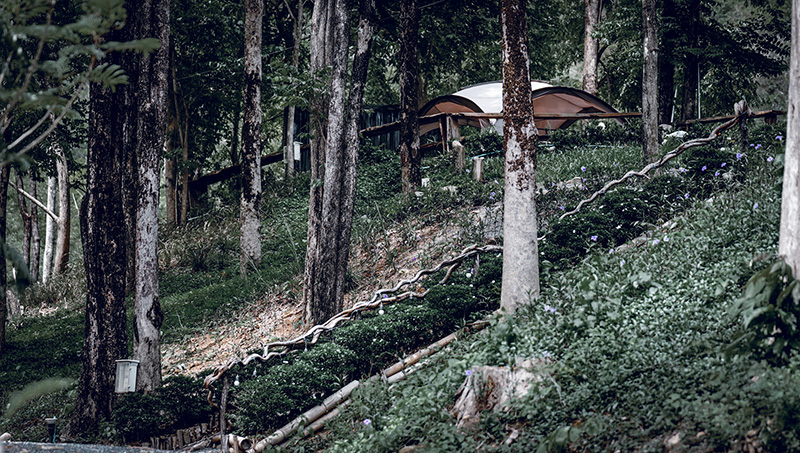 ที่พักแคมป์ใกล้กรุงเทพ