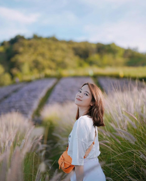 เซน เมจกา ประวัติ