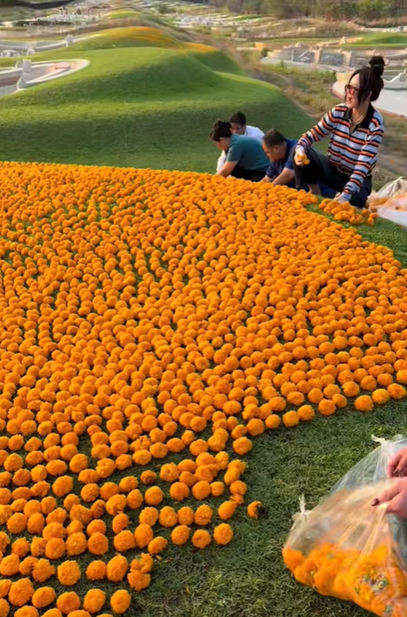 บ้านอาม่า อากง