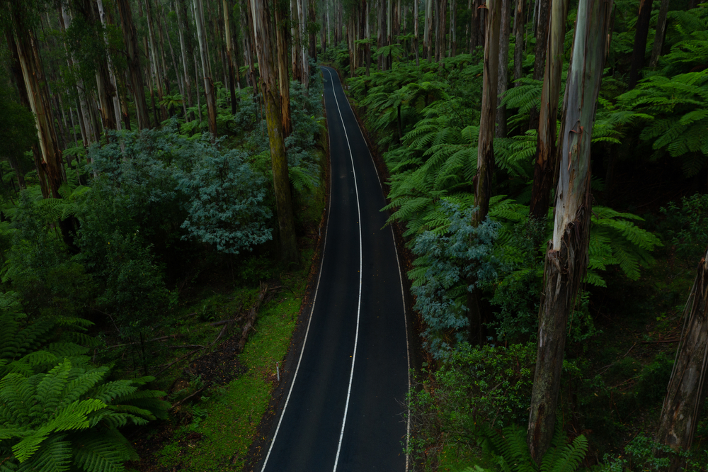 Black Spur