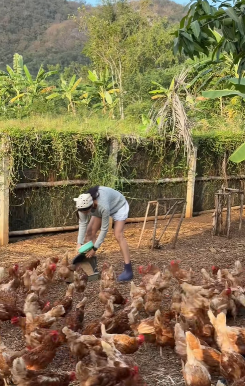 มิ้นต์ ชาลิดา