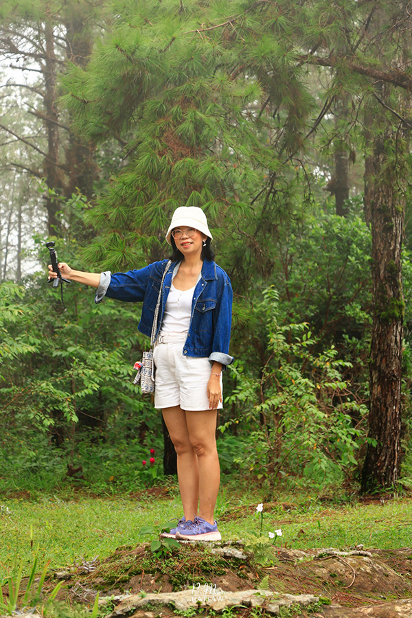 อุทยานแห่งชาติภูเรือ เลย