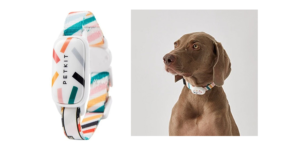 PETKIT Smart Pet Activity Monitor