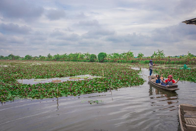 โครงการชิมช้อปใช้