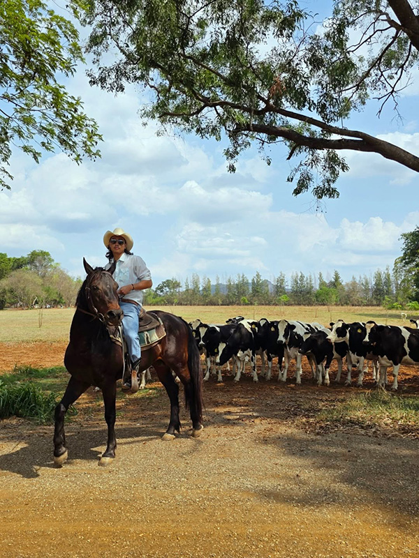 ปราบ บูลกุล